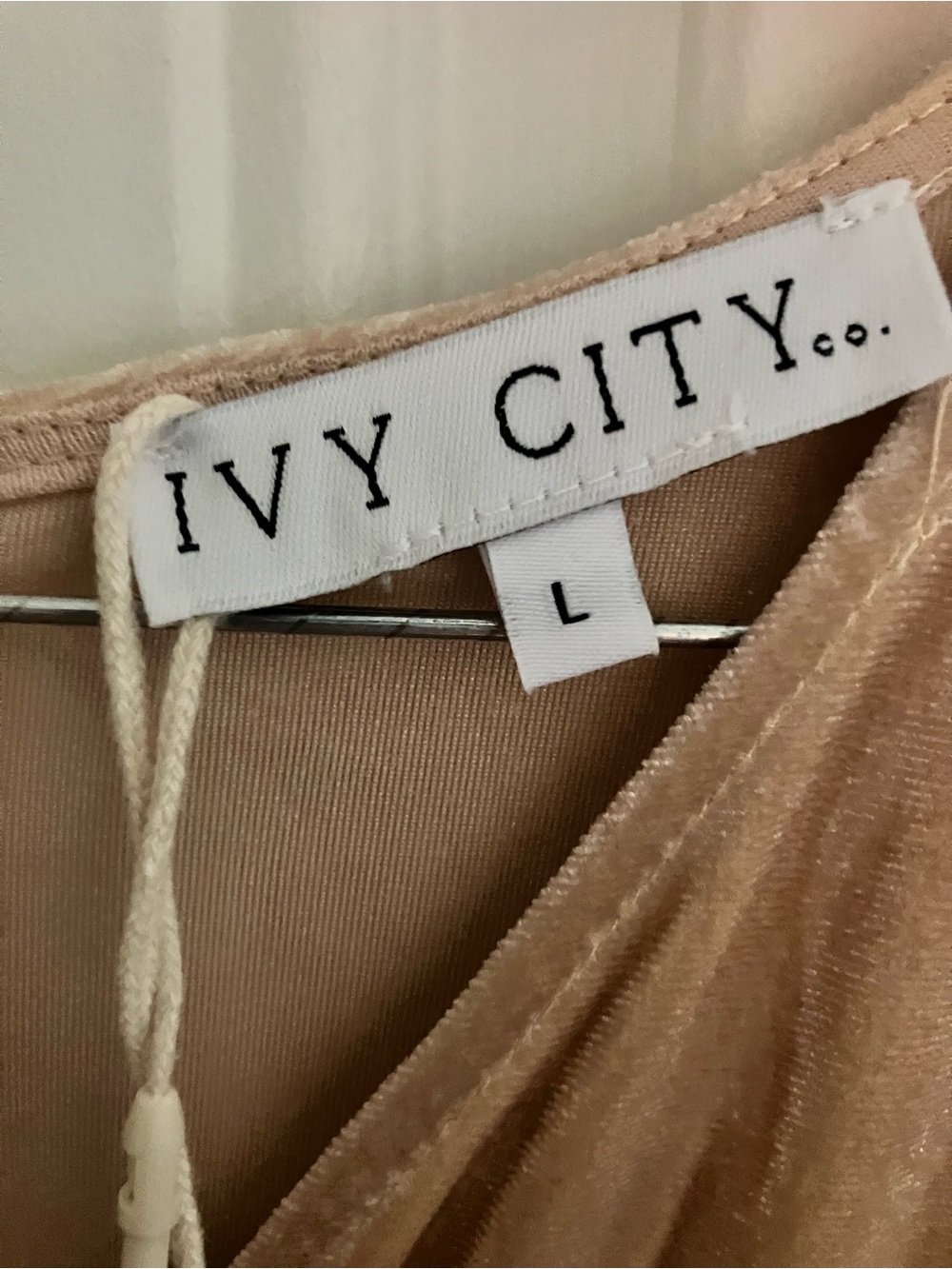 Ivy City Co. Lillie Dress Champagne Velvet_-Large NWT - Picture 4 of 6